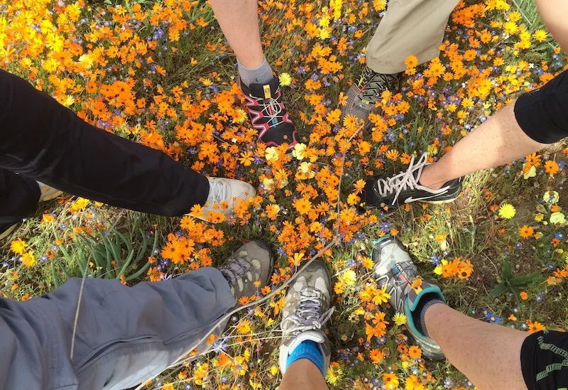 feet into nature 800 549